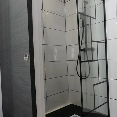 Centre Historique, Superbe A 2 Pas Des Trams Digione