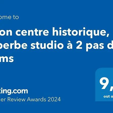 Centre Historique, Superbe A 2 Pas Des Trams *